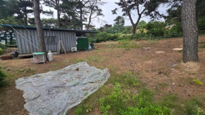 울산 울주군 웅촌면 전답 경매 물건 사진 2 · 2026타경10654