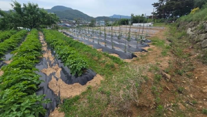 울산 울주군 웅촌면 전답 경매 물건 사진 5 · 2026타경10654