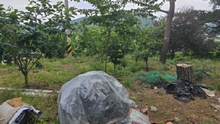 울산 울주군 웅촌면 전답 경매 물건 사진 6 · 2026타경10654