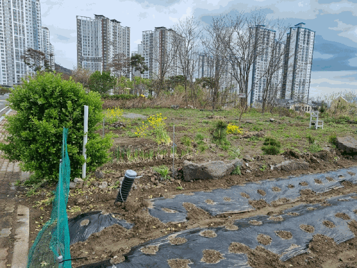 울산 북구 산하동 대지,임야,전답 경매 물건 사진 6 · 2026타경211