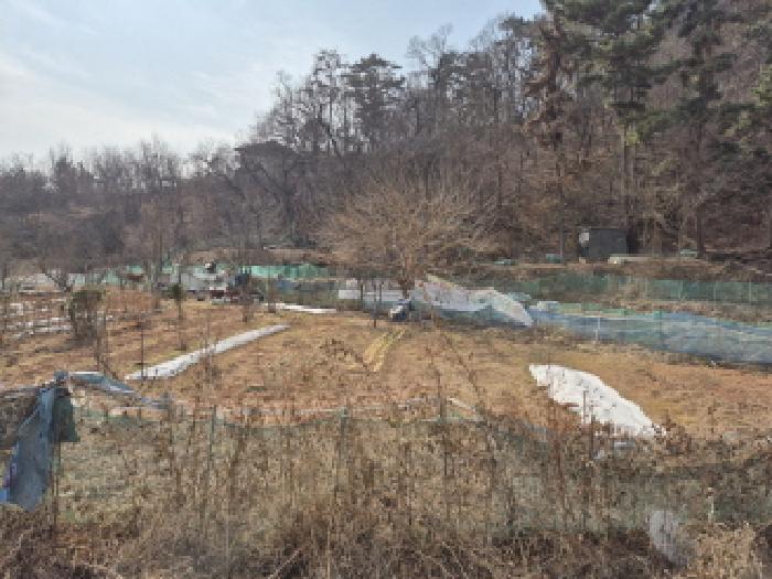 울산 중구 약사동 과수원 경매 물건 사진 3 · 2026타경25