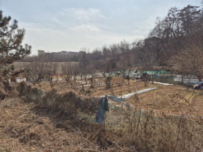 울산 중구 약사동 과수원 경매 물건 사진 4 · 2026타경25