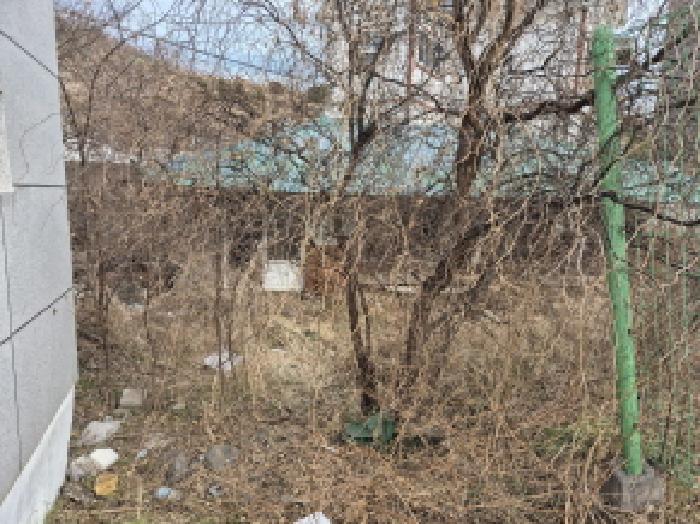 울산 북구 당사동 단독주택다가구 경매 물건 사진