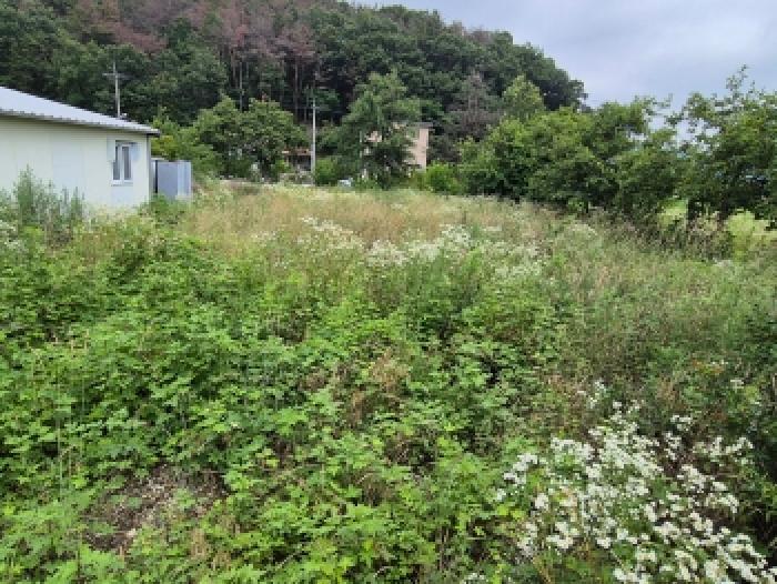 울산 북구 달천동 대지,임야,전답 경매 물건 사진 2 · 2026타경303