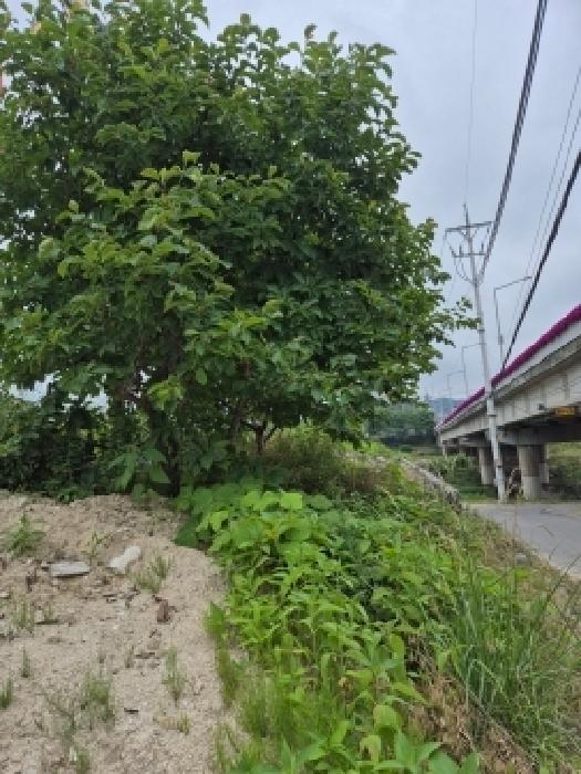 울산 울주군 온산읍 대지,임야,전답 경매 물건 사진 2 · 2026타경330