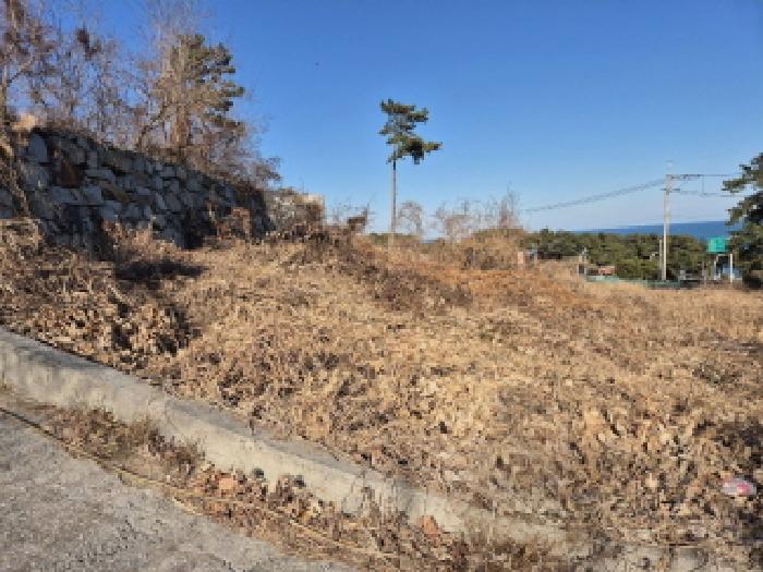 울산 울주군 서생면 임야 경매 물건 사진 2 · 2026타경37