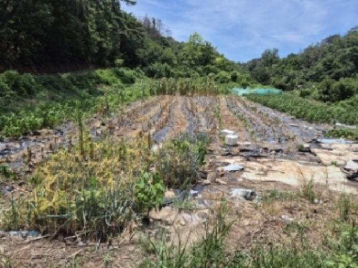 울산 북구 산하동 전답 경매 물건 사진 2 · 2026타경423