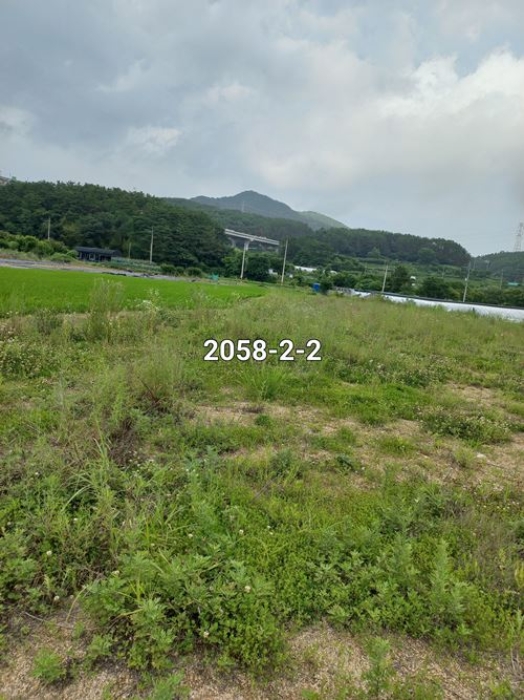 부산 기장군 철마면 답 경매 물건 사진 5 · 2023타경2058