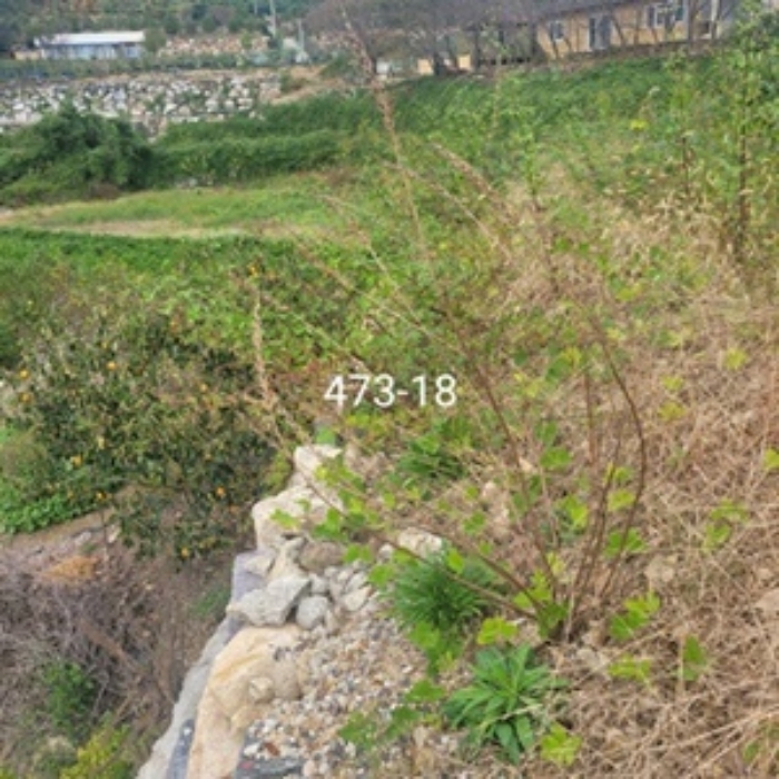 부산 기장군 장안읍 단독주택다가구 경매 물건 사진 2 · 2024타경110970