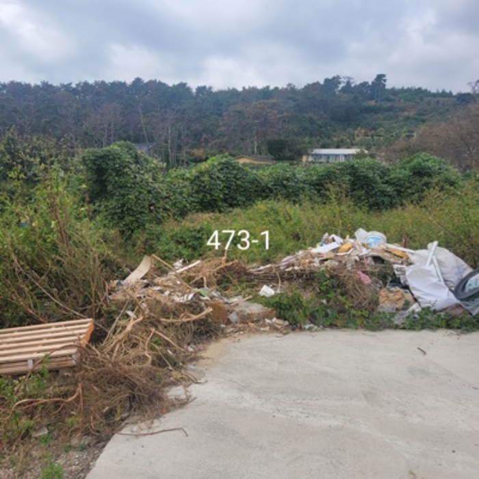 부산 기장군 장안읍 단독주택다가구 경매 물건 사진 4 · 2024타경110970