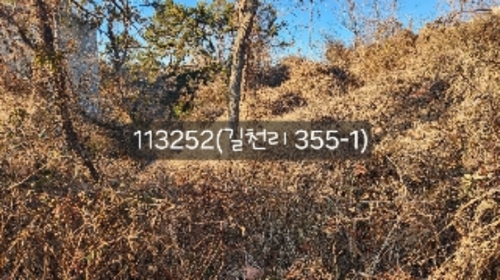 부산 기장군 장안읍 임야 경매 물건 사진 2 · 2024타경113252
