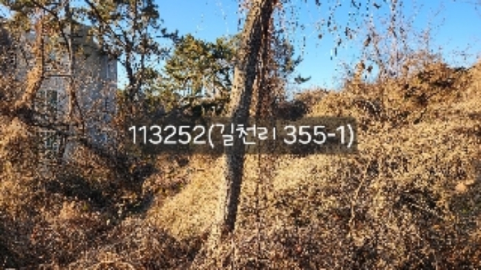 부산 기장군 장안읍 임야 경매 물건 사진 3 · 2024타경113252
