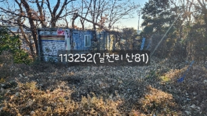 부산 기장군 장안읍 임야 경매 물건 사진 4 · 2024타경113252