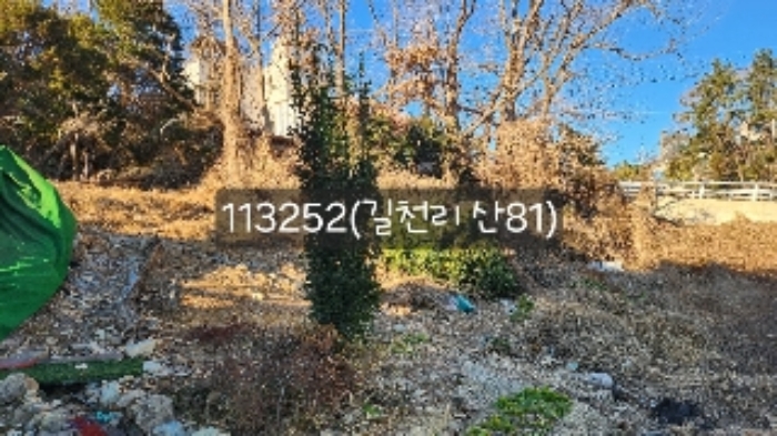 부산 기장군 장안읍 임야 경매 물건 사진 5 · 2024타경113252
