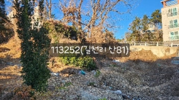 부산 기장군 장안읍 임야 경매 물건 사진 6 · 2024타경113252
