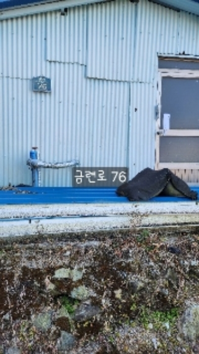 부산 수영구 망미동 임야 경매 물건 사진 6 · 2024타경113597
