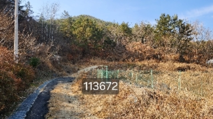 부산 기장군 장안읍 임야 경매 물건 사진