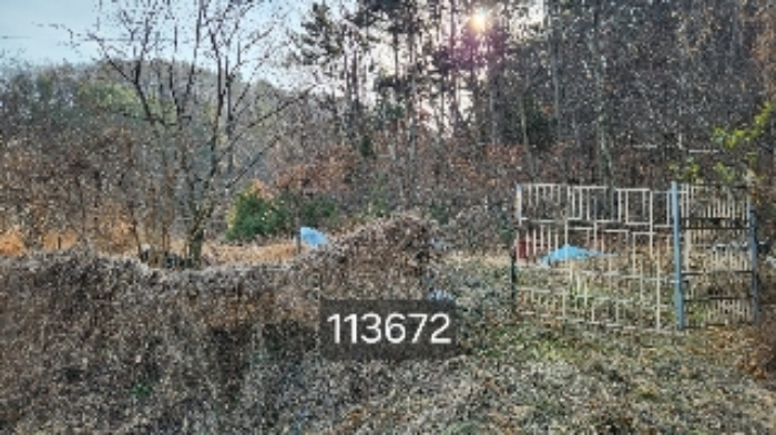 부산 기장군 장안읍 임야 경매 물건 사진 2 · 2024타경113672