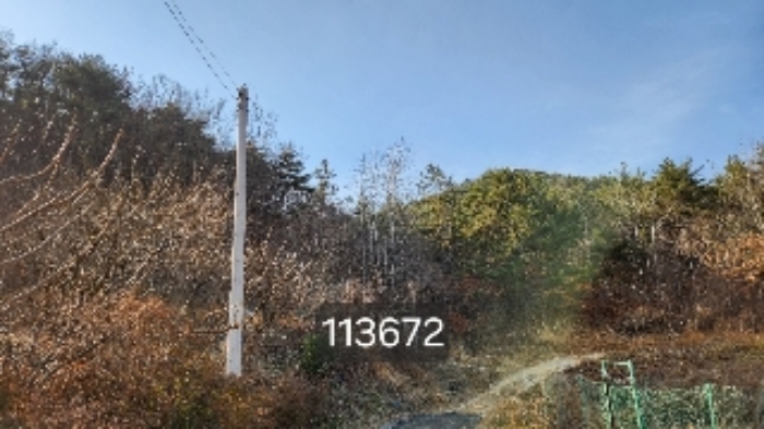 부산 기장군 장안읍 임야 경매 물건 사진 3 · 2024타경113672