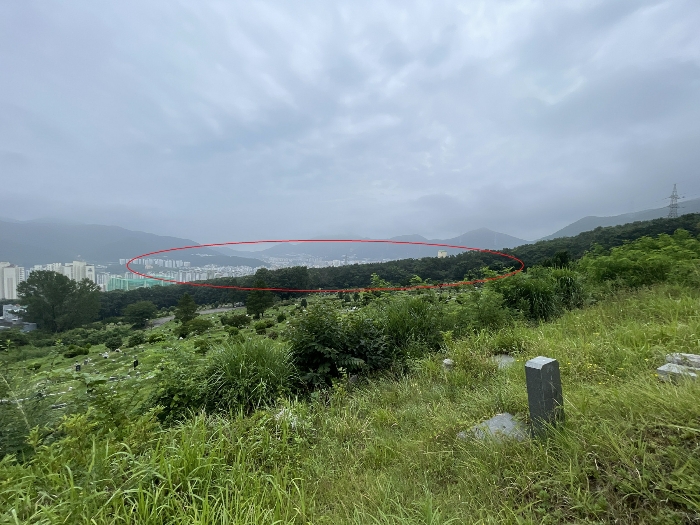 부산 기장군 정관읍 임야 경매 물건 사진 6 · 2024타경3911