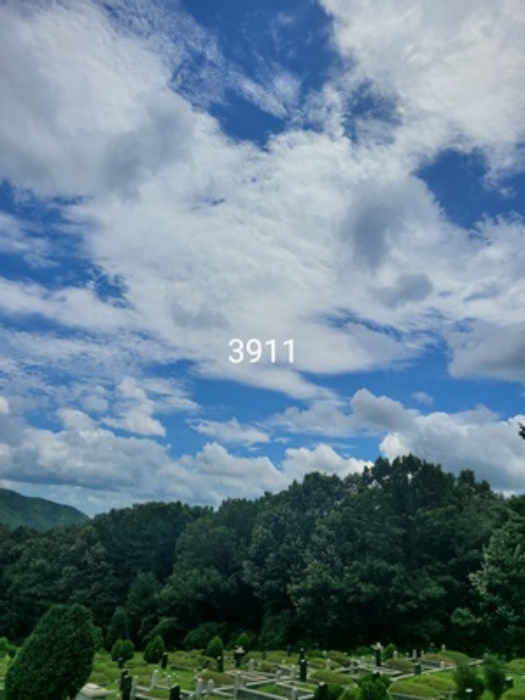 부산 기장군 정관읍 임야 경매 물건 사진 2 · 2024타경3911
