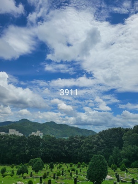 부산 기장군 정관읍 임야 경매 물건 사진 3 · 2024타경3911