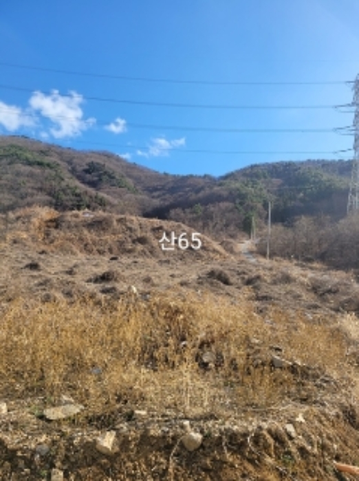 부산 기장군 정관읍 전 경매 물건 사진 5 · 2024타경394