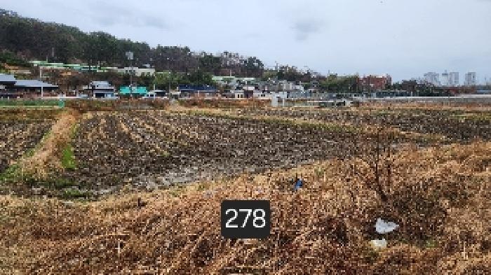 부산 기장군 기장읍 답 경매 물건 사진 2 · 2025타경278