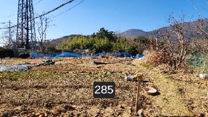부산 기장군 장안읍 전 경매 물건 사진 3 · 2025타경285