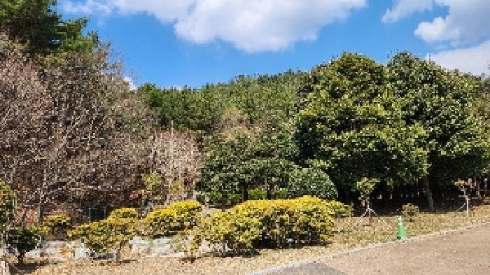 부산 해운대구 석대동 임야 경매 물건 사진 3 · 2025타경424