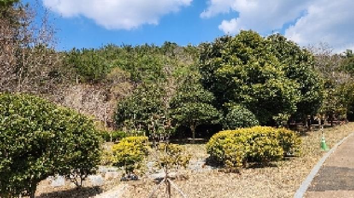 부산 해운대구 석대동 임야 경매 물건 사진 4 · 2025타경424