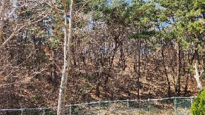 부산 해운대구 석대동 임야 경매 물건 사진 5 · 2025타경424