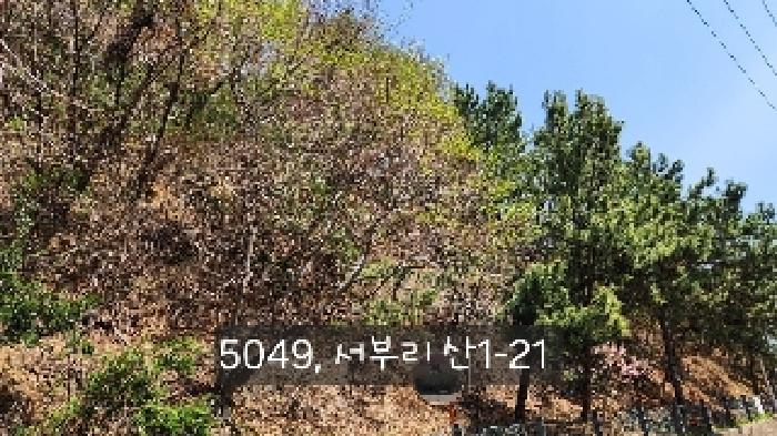 부산 기장군 기장읍 임야 경매 물건 사진