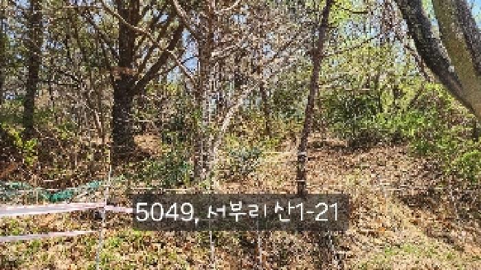 부산 기장군 기장읍 임야 경매 물건 사진 2 · 2025타경5049