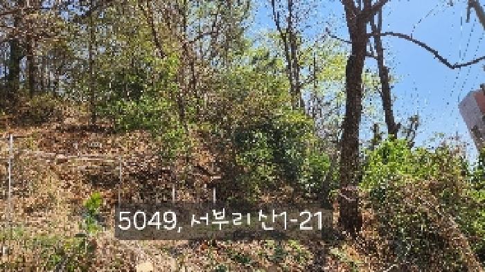 부산 기장군 기장읍 임야 경매 물건 사진 4 · 2025타경5049