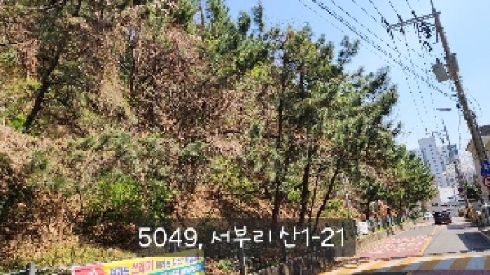 부산 기장군 기장읍 임야 경매 물건 사진 5 · 2025타경5049