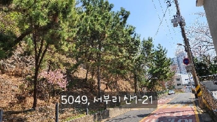 부산 기장군 기장읍 임야 경매 물건 사진 6 · 2025타경5049