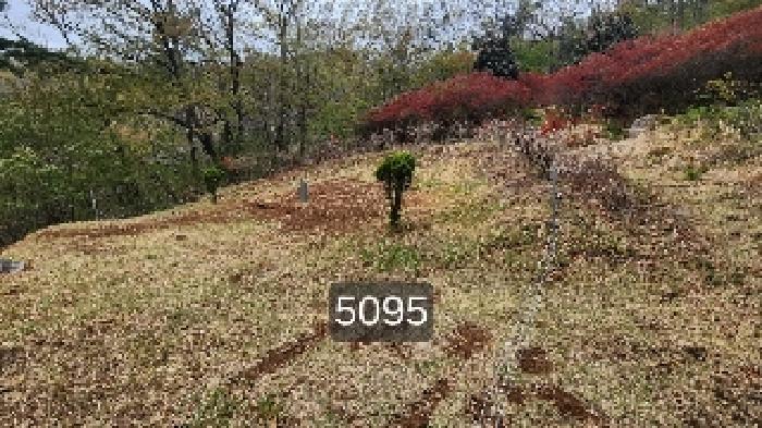 부산 기장군 정관읍 임야 경매 물건 사진