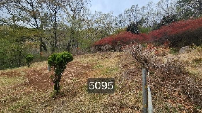 부산 기장군 정관읍 임야 경매 물건 사진 2 · 2025타경5095