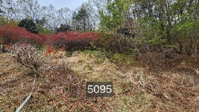 부산 기장군 정관읍 임야 경매 물건 사진 3 · 2025타경5095