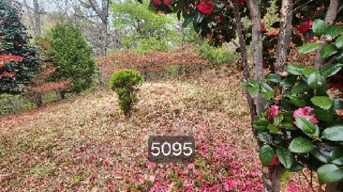 부산 기장군 정관읍 임야 경매 물건 사진 4 · 2025타경5095