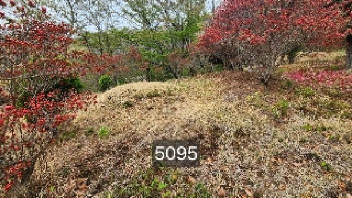 부산 기장군 정관읍 임야 경매 물건 사진 6 · 2025타경5095