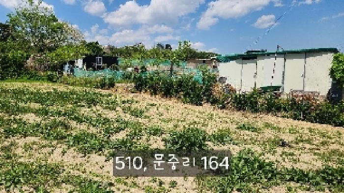 부산 기장군 일광읍 답 경매 물건 사진 2 · 2025타경510