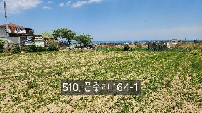 부산 기장군 일광읍 답 경매 물건 사진 3 · 2025타경510