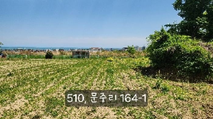 부산 기장군 일광읍 답 경매 물건 사진 4 · 2025타경510