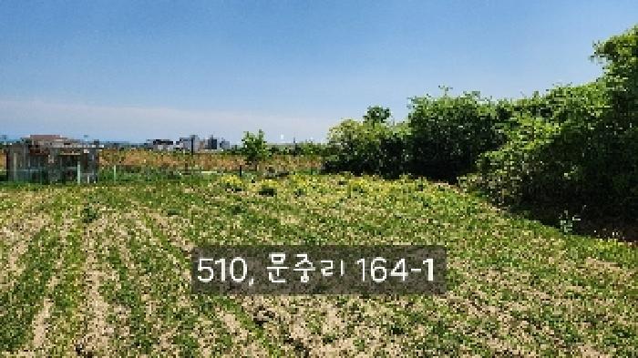 부산 기장군 일광읍 답 경매 물건 사진 5 · 2025타경510