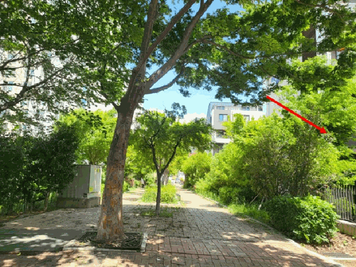 부산 기장군 정관읍 아파트 경매 물건 사진 6 · 2025타경5161