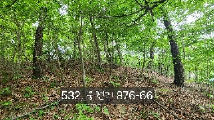 부산 기장군 철마면 동물및식물관련시설 경매 물건 사진 2 · 2025타경532