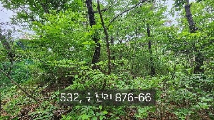 부산 기장군 철마면 동물및식물관련시설 경매 물건 사진 3 · 2025타경532