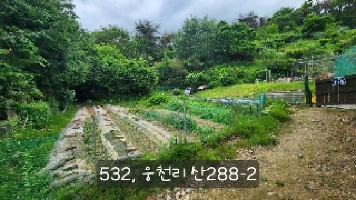 부산 기장군 철마면 동물및식물관련시설 경매 물건 사진 4 · 2025타경532